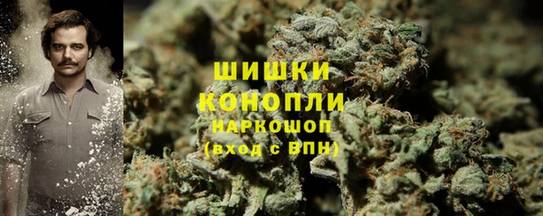 Альфа ПВП Белокуриха
