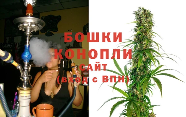 Альфа ПВП Белокуриха
